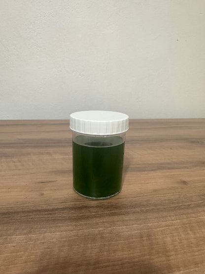 GreenerBreath Pure Algae – %100 Doğal Spirulina Kültürü 200 ml